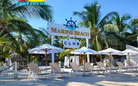 Entrada de Marine Beach Club con palmeras