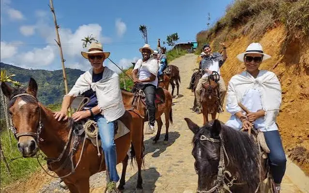 Cabalgata por un camino de finca cafetera