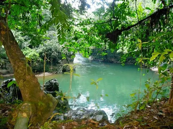 Aguas verdes del Río Claro entre la selva